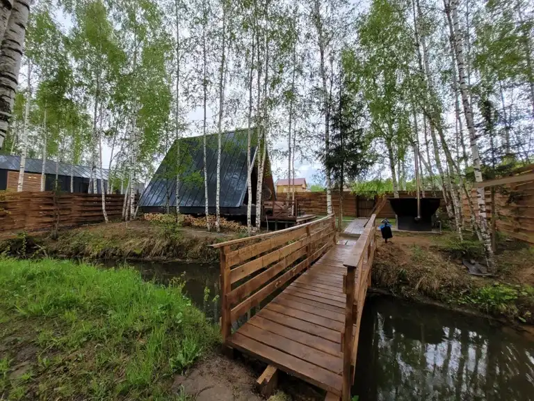 Берёзовая роща