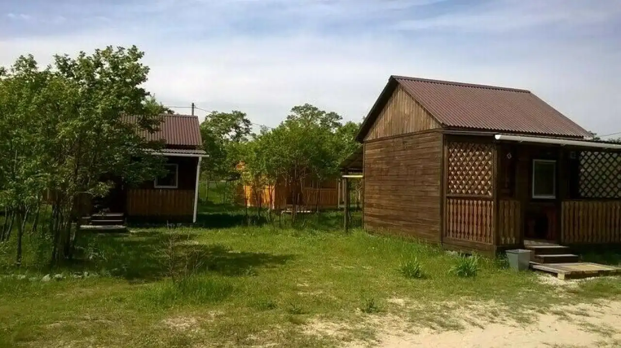 Фламинго