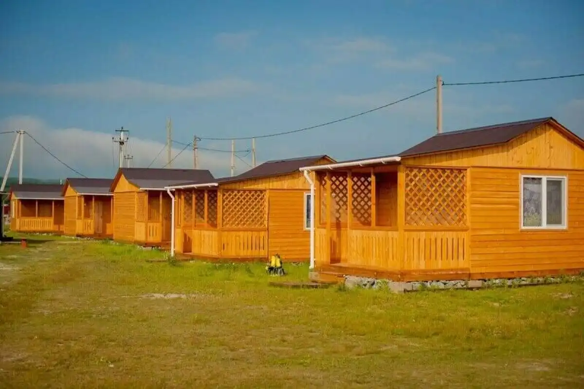 Фламинго