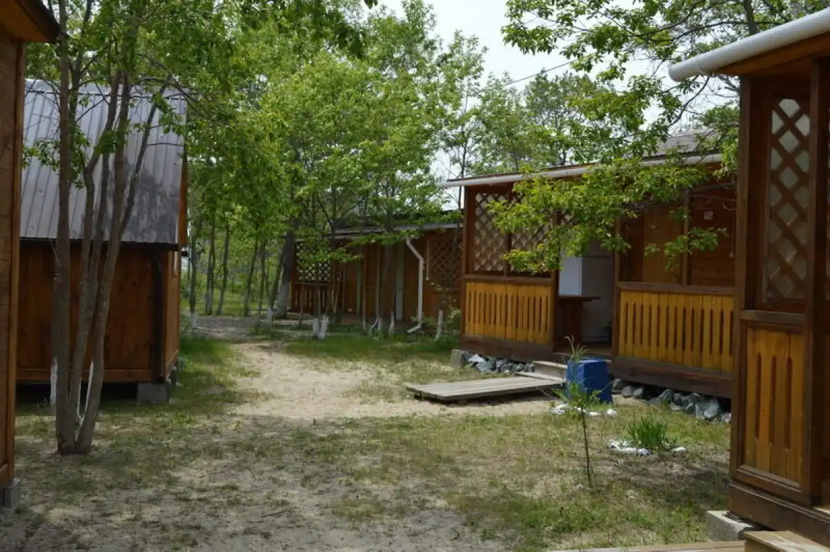 Фламинго