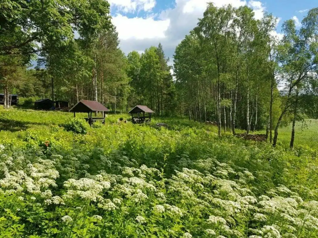 Кемпинг у Рауталахти