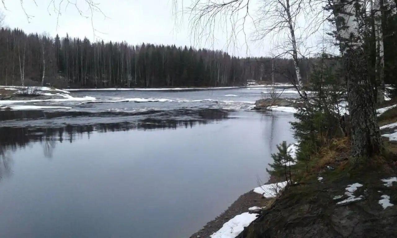 Хвойный (Матросы)