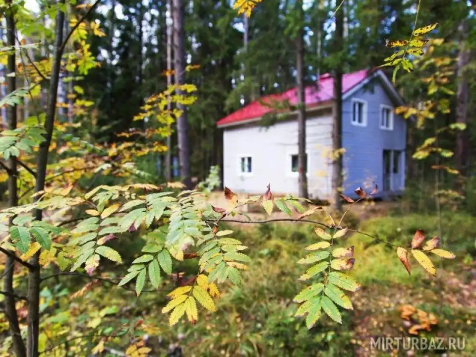 Коркино Lake