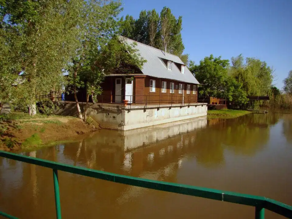 Нерестина