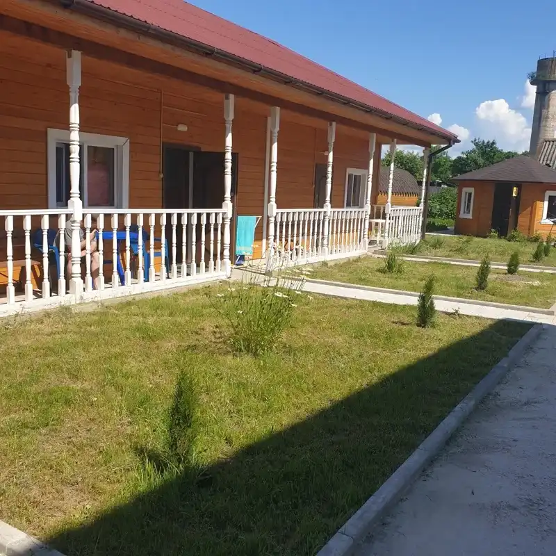 Оазис