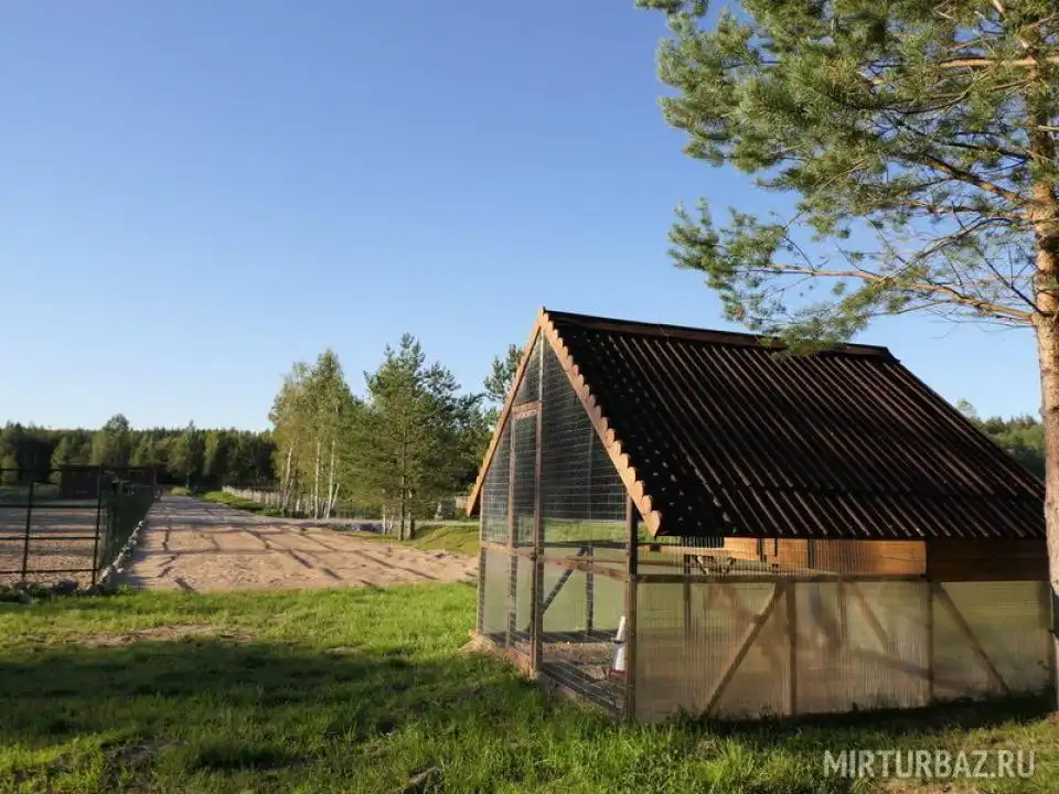 Приозерский Страус