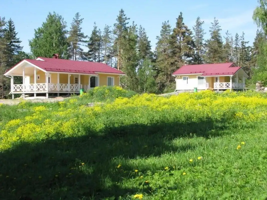 Rukola