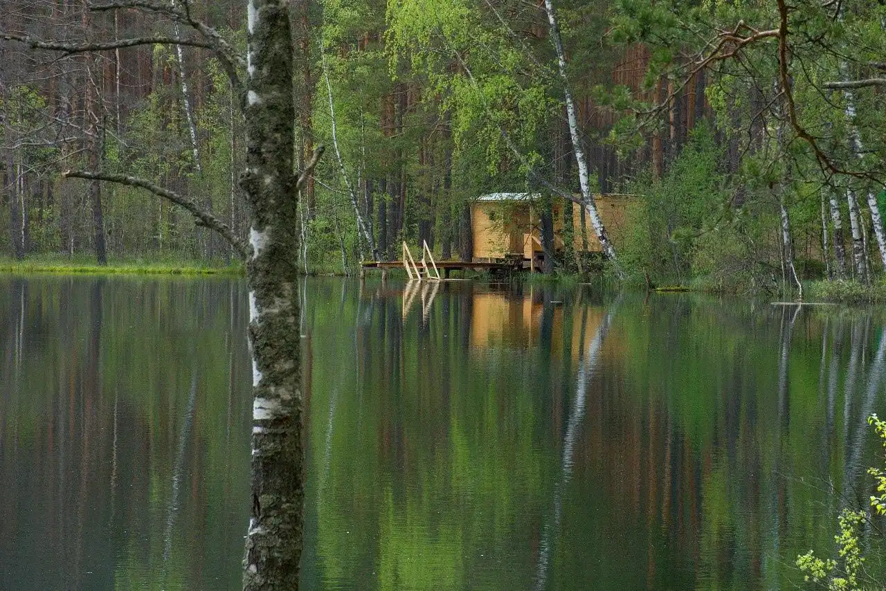 Шишки на Лампушки