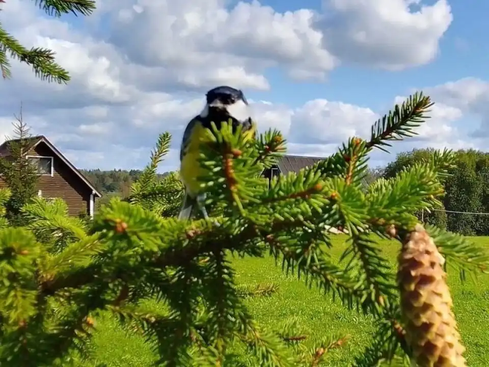 Валдайская