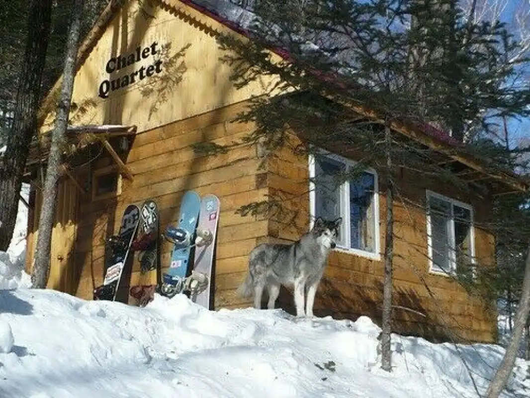 Высокая