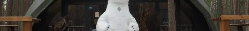 Поздравление от белого медведя!