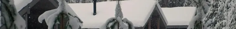 Дружная компания