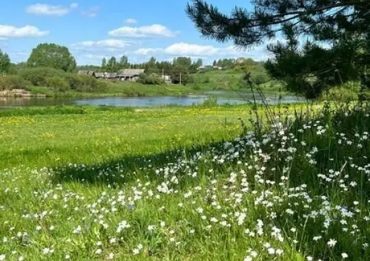 Загородный дом - Ржев-Волга