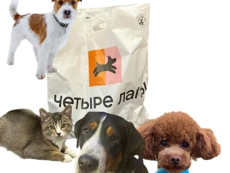 Pet-friendly пространство!