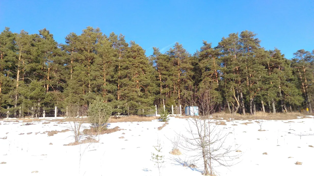 База отдыха - Лужки Оздоровительный комплекс
