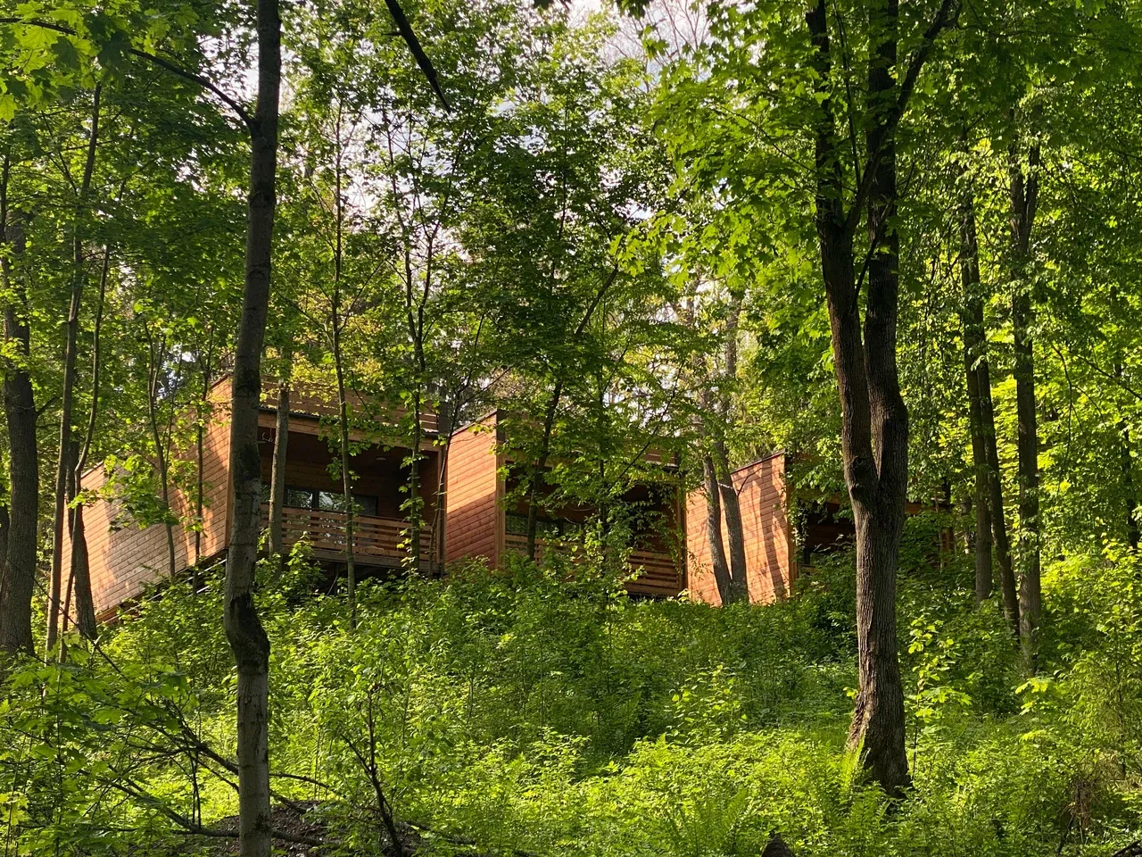 Загородный отель - Ruza Forest