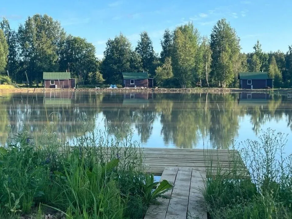 Дом - Сarp.house