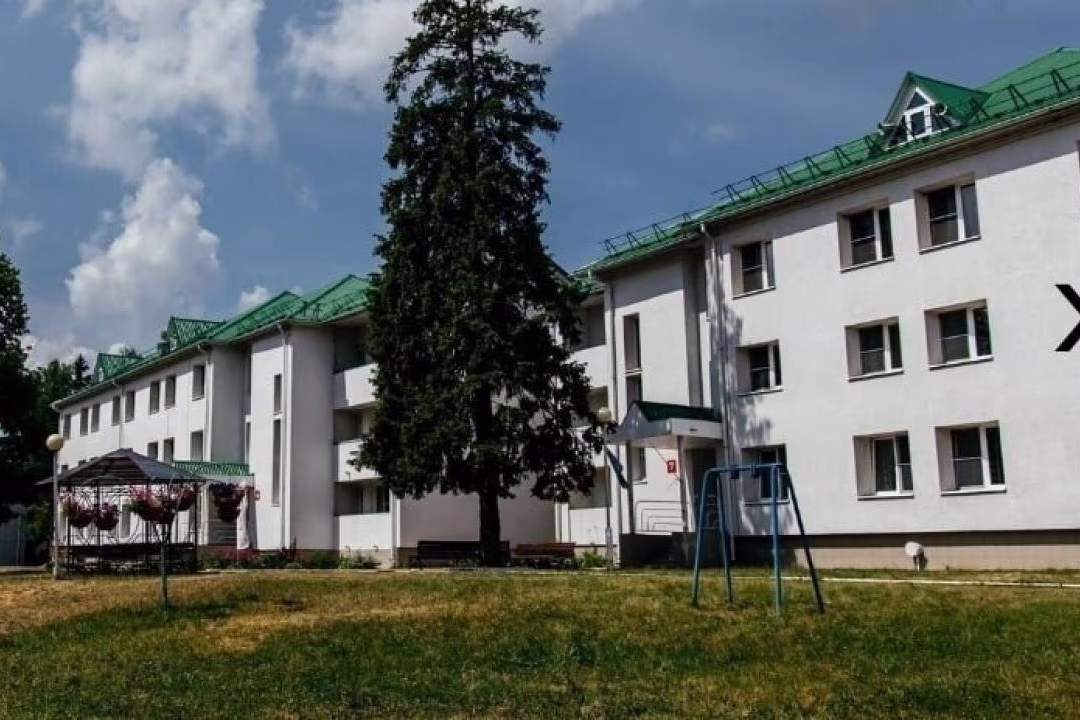Красная гвоздика — фото 1