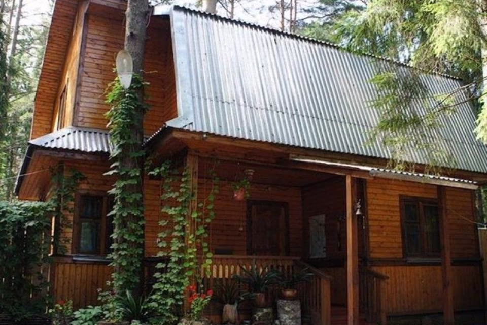 Лана — фото 1