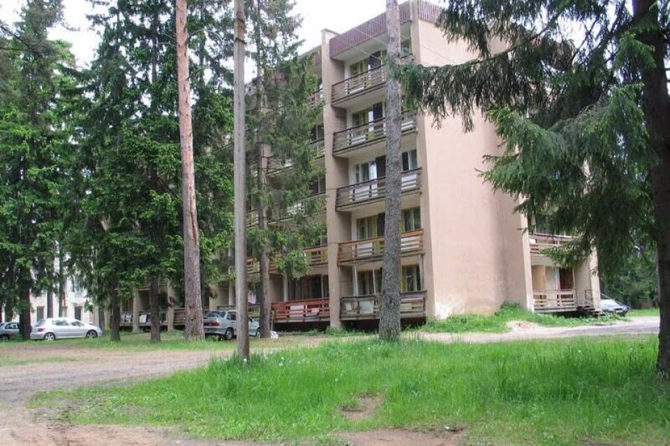 Сокол — фото 1