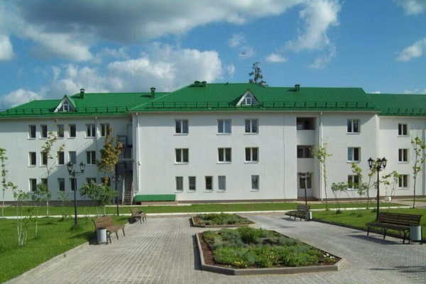 Красная гвоздика — фото 2