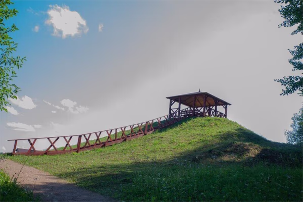 Сова.На пригорке — фото 2