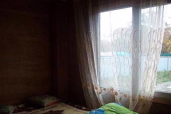 Паллада — фото 3