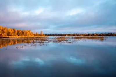 Плотвичкина заводь — фото 2