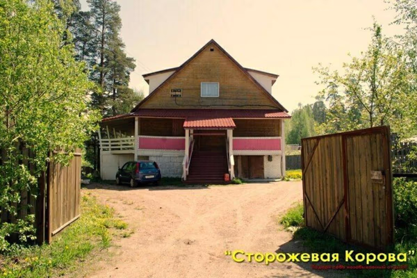 Сторожевая корова — фото 2