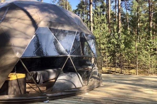 Вили Улей Карелия — фото 2